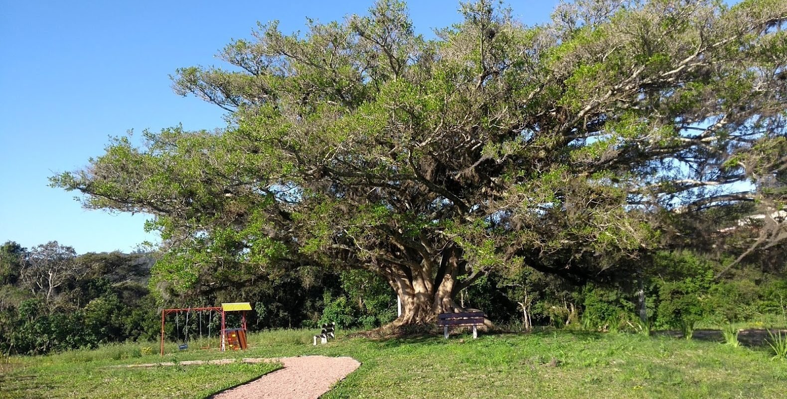 Terrenos próximo ao Alfaville no Bairro Campo Novo, Porto Alegre