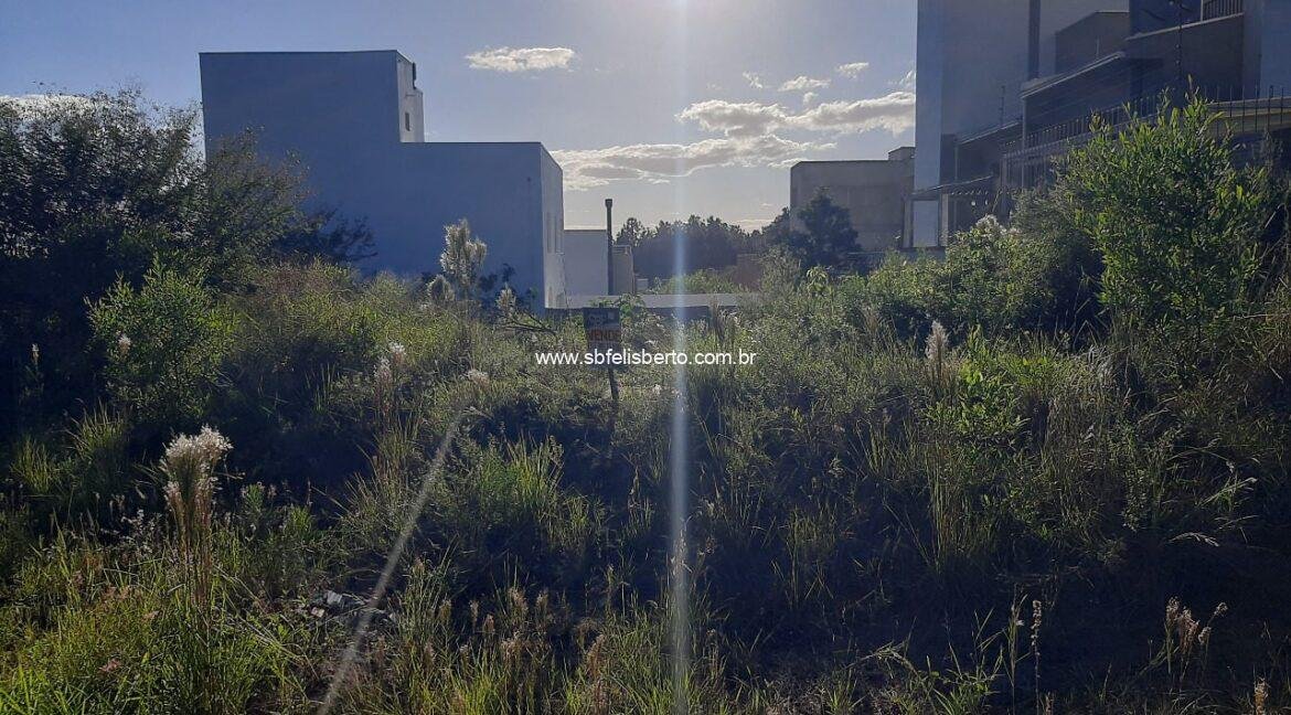 07447da0-d7a1-43ad-8197-c437ed31f854-1280x800