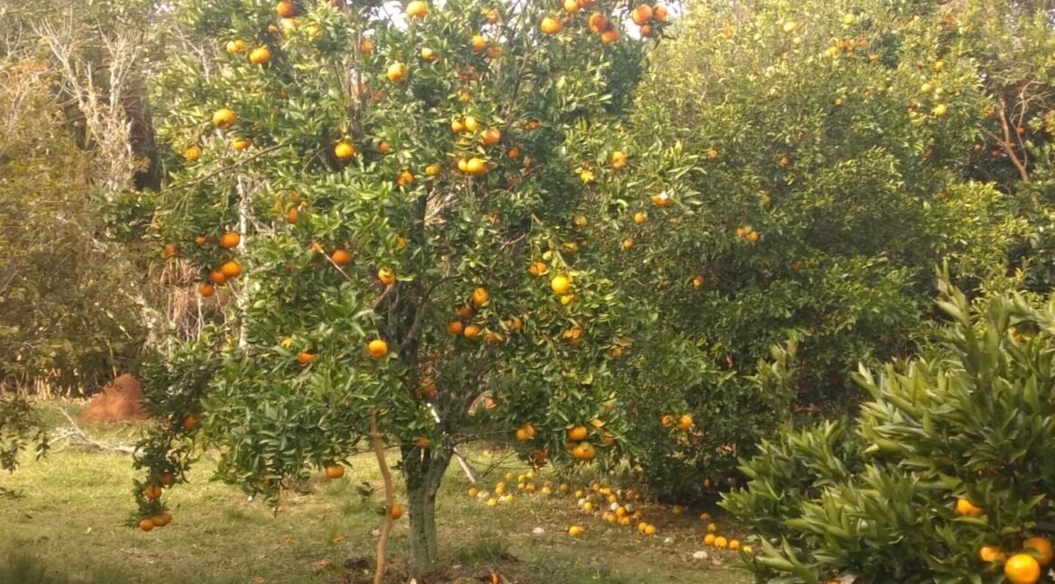 WhatsApp-Image-2023-11-14-at-18.15.16-1600x800