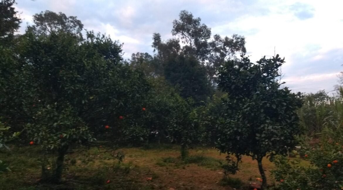 WhatsApp-Image-2023-11-14-at-18.15.17-1600x800