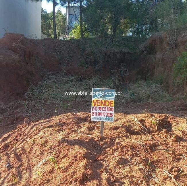 WhatsApp-Image-2024-04-22-at-21.16.421-651x800