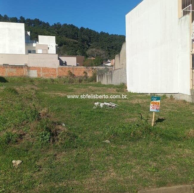 WhatsApp-Image-2024-08-12-at-21.05.11-651x800