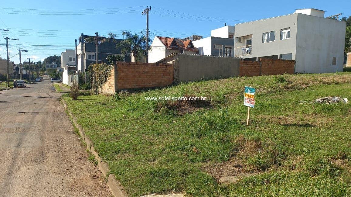 WhatsApp-Image-2024-08-12-at-21.05.121