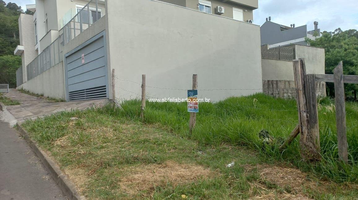 WhatsApp Image 2024-11-15 at 15.52.52