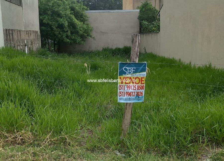 WhatsApp Image 2024-11-15 at 15.52.54