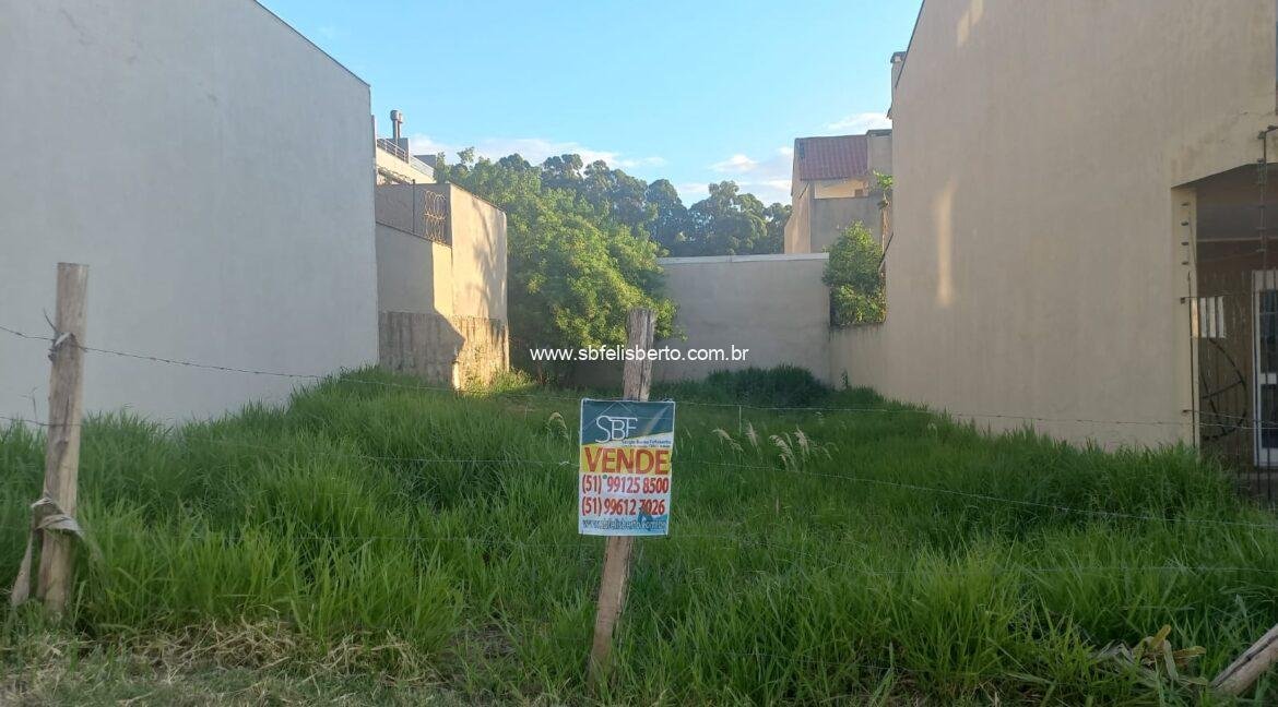 WhatsApp Image 2024-11-15 at 15.52.56