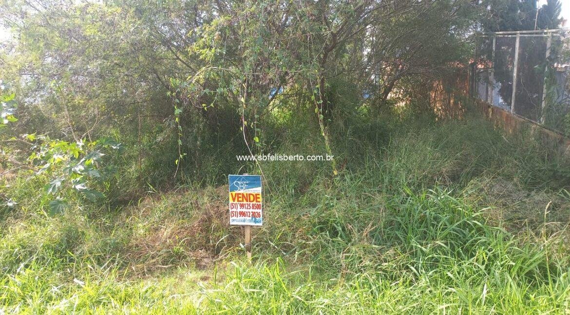 WhatsApp Image 2025-05-16 at 11.02.30