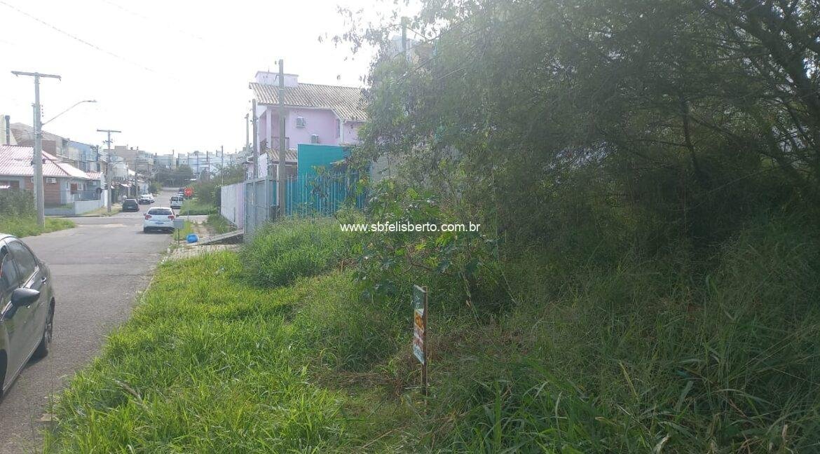 WhatsApp Image 2025-05-16 at 11.02.30(1)