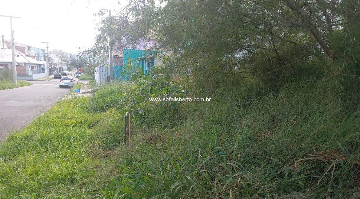 WhatsApp Image 2025-05-16 at 11.02.30(2)