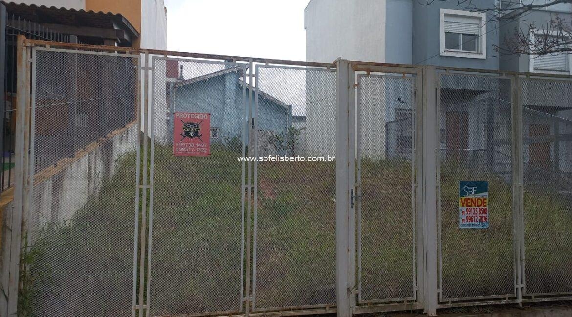 WhatsApp Image 2025-07-28 at 20.30.45