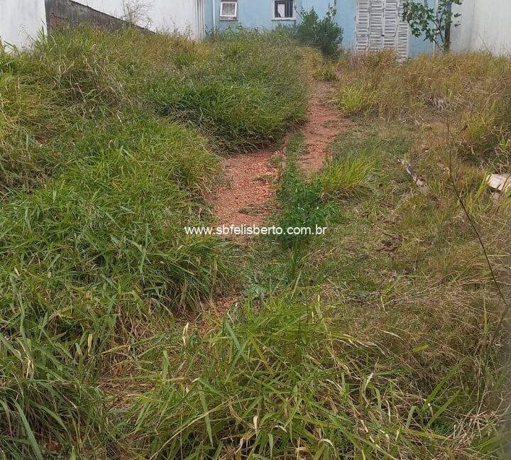 WhatsApp Image 2025-07-28 at 20.30.48