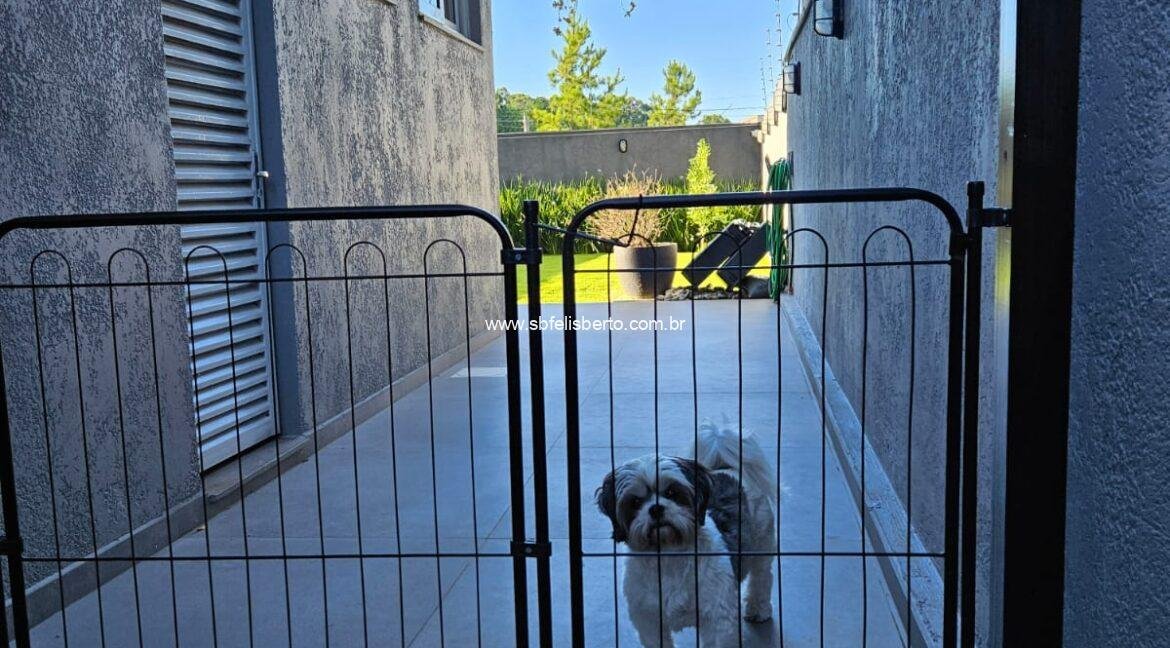 WhatsApp Image 2025-09-06 at 18.27.08(2)