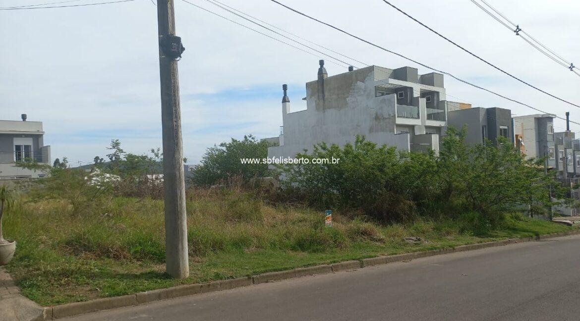 WhatsApp Image 2025-09-18 at 15.03.59(1)