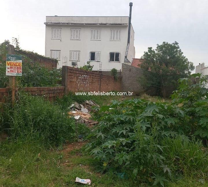 WhatsApp Image 2025-09-21 at 17.08.33