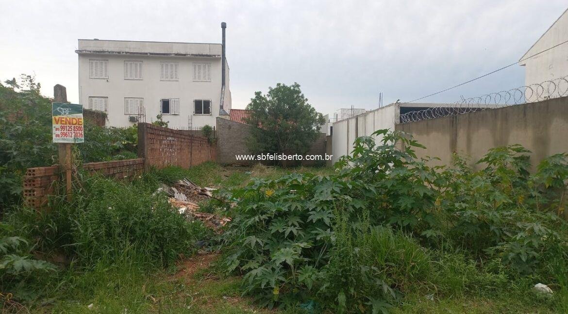 WhatsApp Image 2025-09-21 at 17.08.34(1)