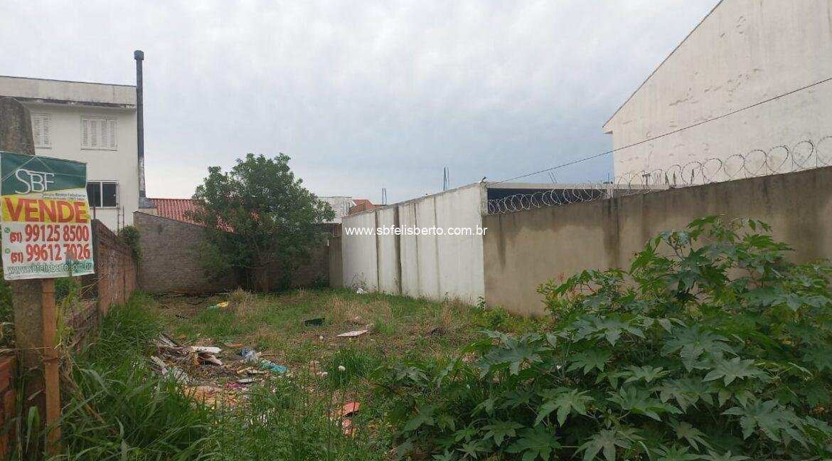 WhatsApp Image 2025-09-21 at 17.08.36