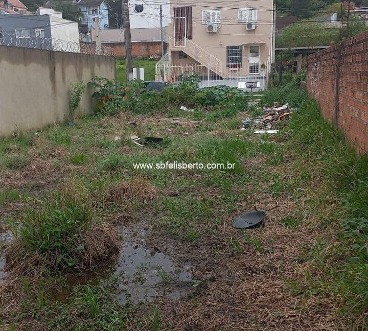 WhatsApp Image 2025-09-21 at 17.08.36(1)