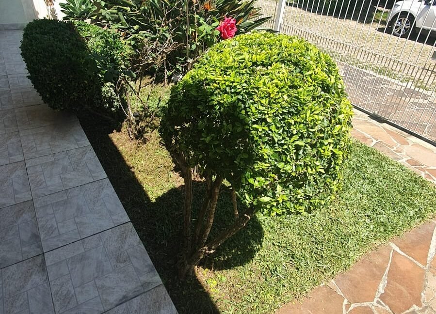 WhatsApp Image 2025-12-09 at 19.53.44(3)