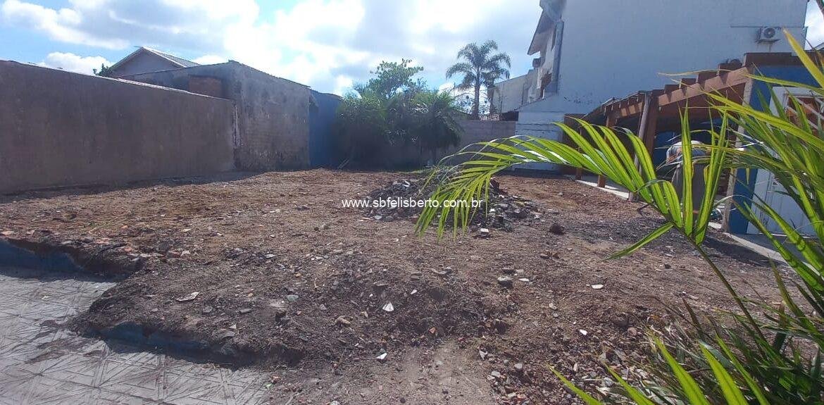 WhatsApp Image 2026-01-21 at 08.29.06