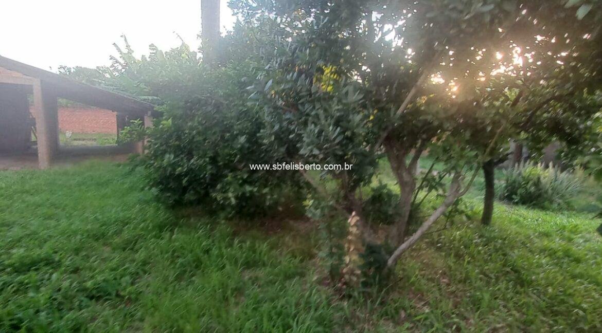 WhatsApp Image 2026-01-30 at 20.52.53(1)