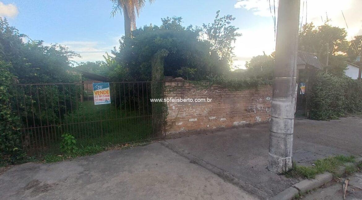 WhatsApp Image 2026-01-30 at 20.52.57(1)