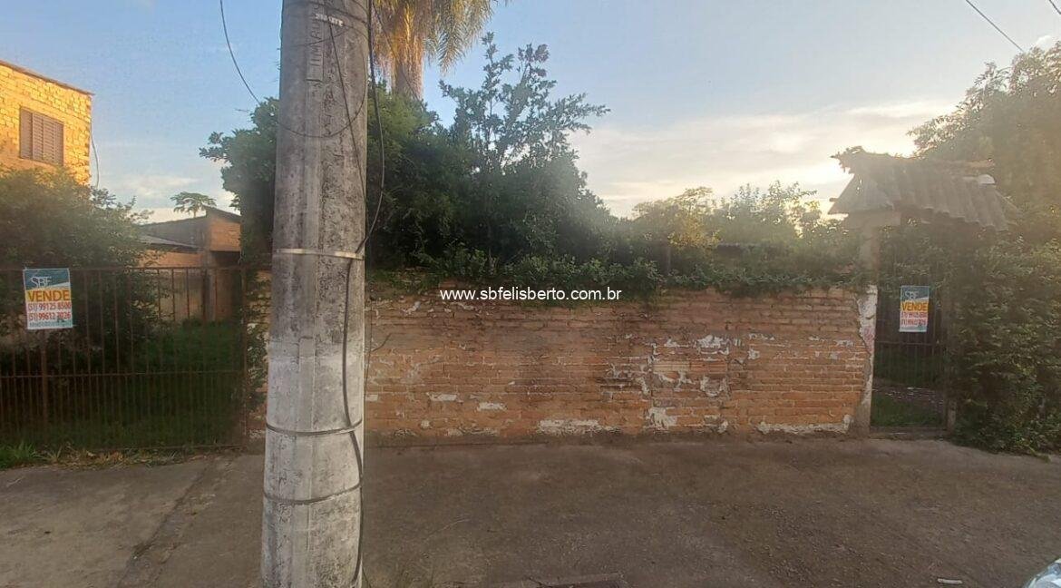 WhatsApp Image 2026-01-30 at 20.52.58