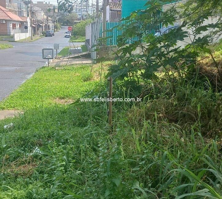 WhatsApp Image 2026-02-03 at 23.09.37