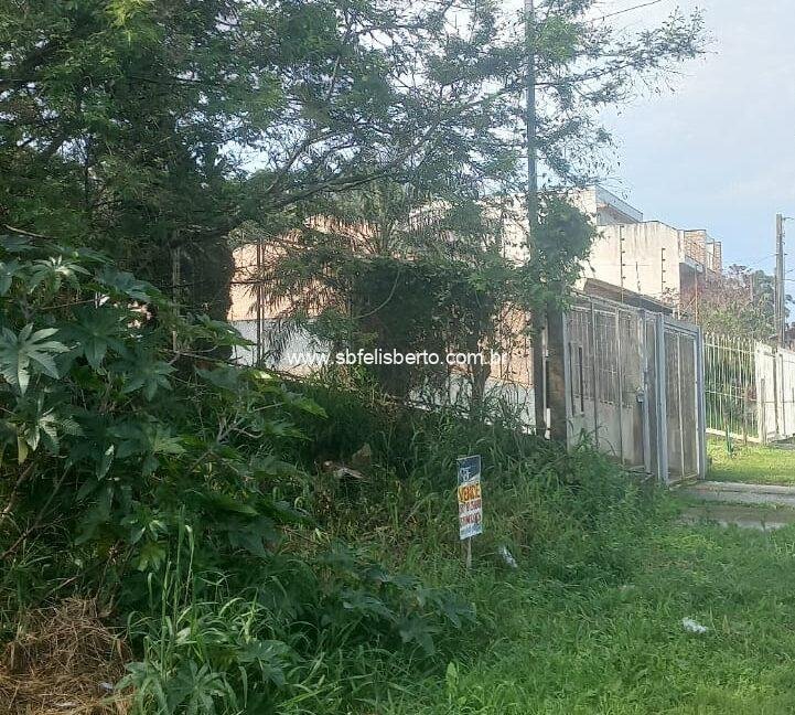 WhatsApp Image 2026-02-03 at 23.09.37(1)