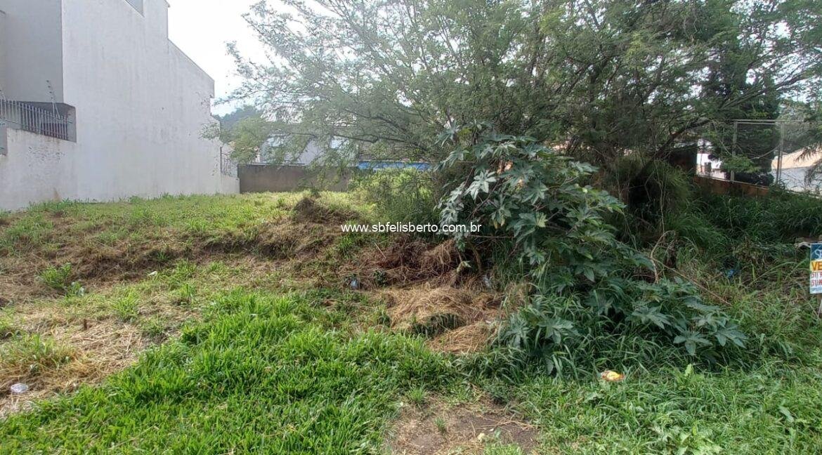 WhatsApp Image 2026-02-03 at 23.09.40