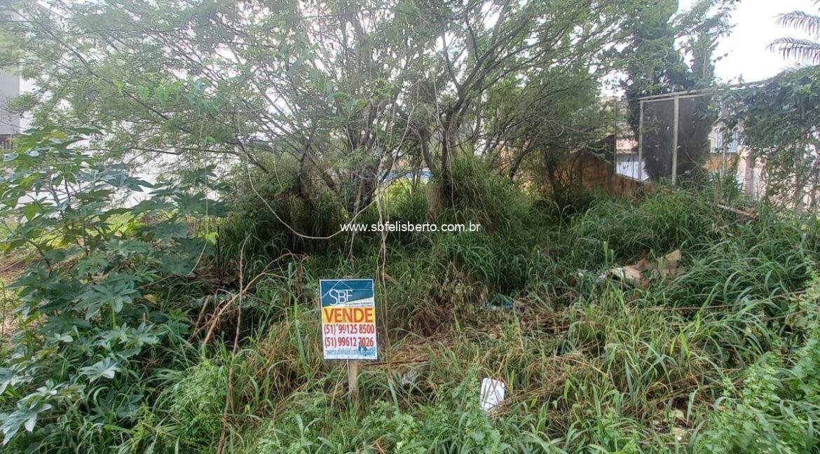 WhatsApp Image 2026-02-03 at 23.09.40(1)