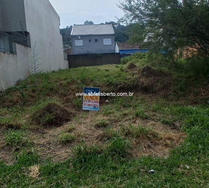 WhatsApp Image 2026-02-03 at 23.09.41