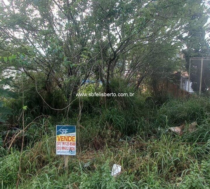 WhatsApp Image 2026-02-03 at 23.09.41(1)