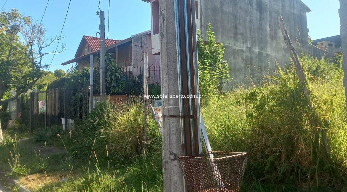 WhatsApp Image 2026-02-05 at 08.58.35(2)