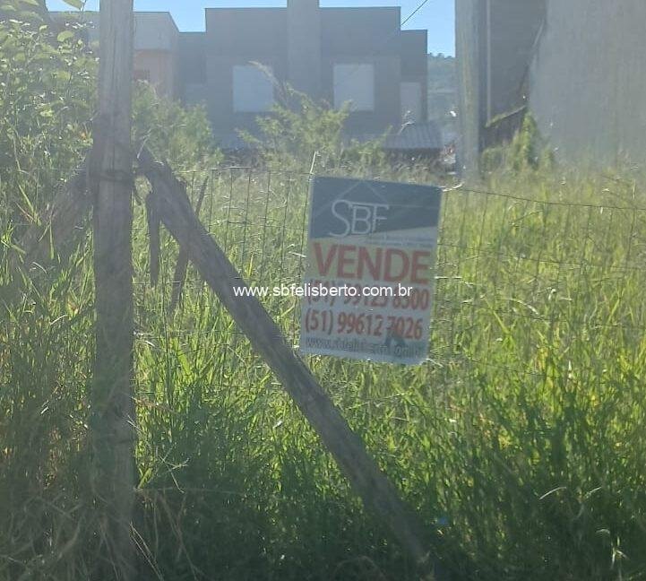 WhatsApp Image 2026-02-05 at 08.58.37