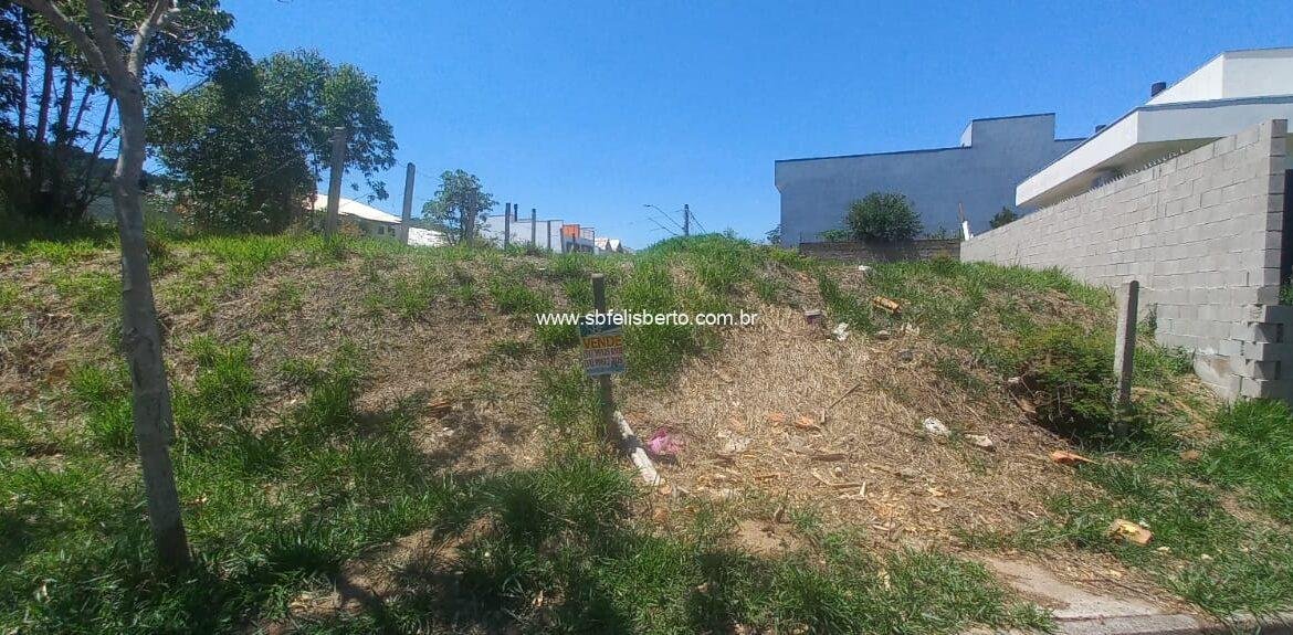 WhatsApp Image 2026-03-11 at 15.22.58