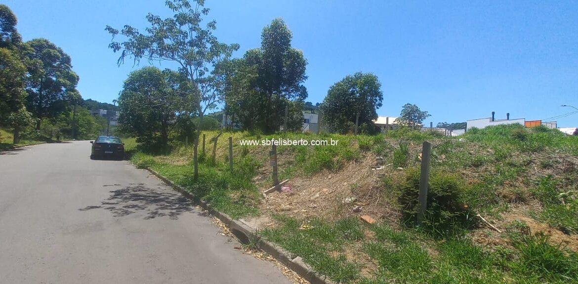 WhatsApp Image 2026-03-11 at 15.22.59