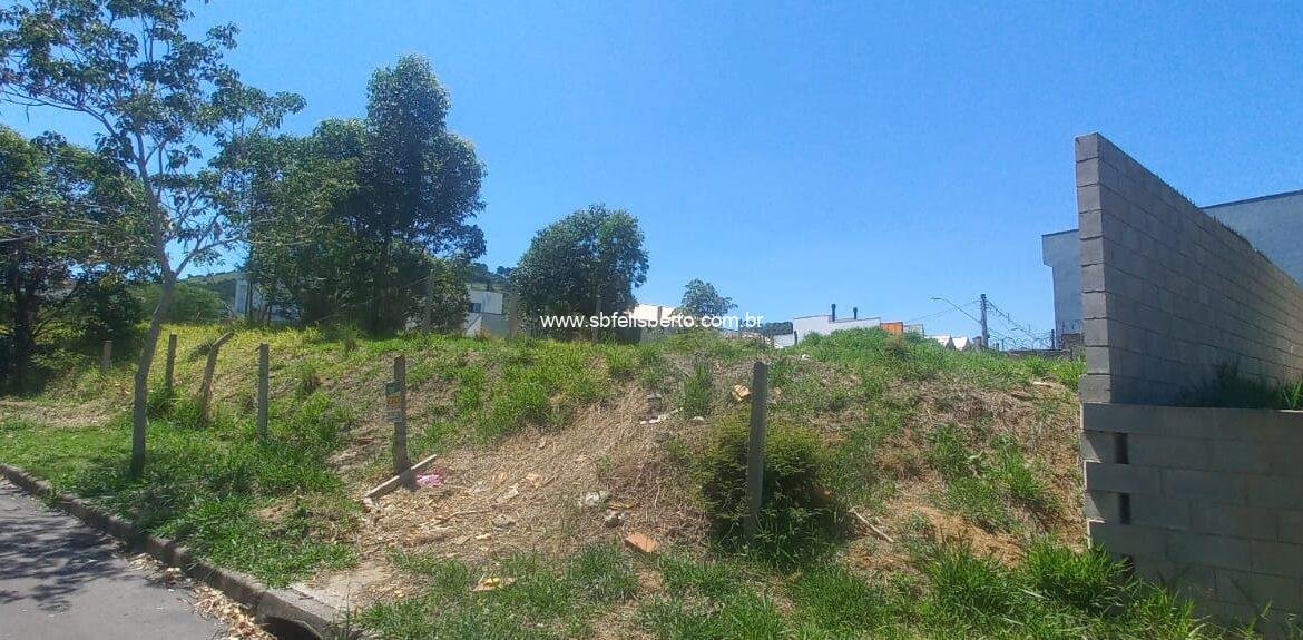 WhatsApp Image 2026-03-11 at 15.23.00