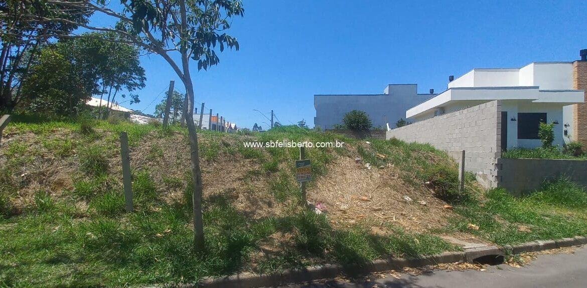 WhatsApp Image 2026-03-11 at 15.23.01